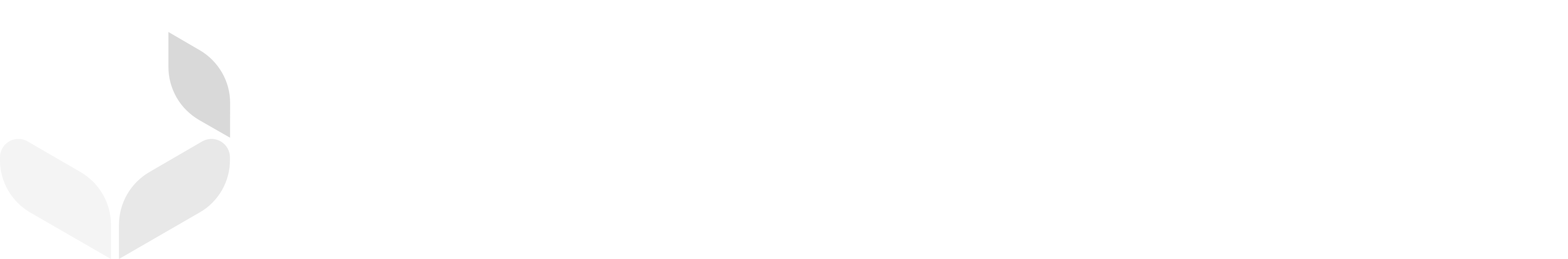Luxera Logo White - Custom Enterprise Software Development